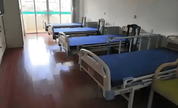 朱庭风华